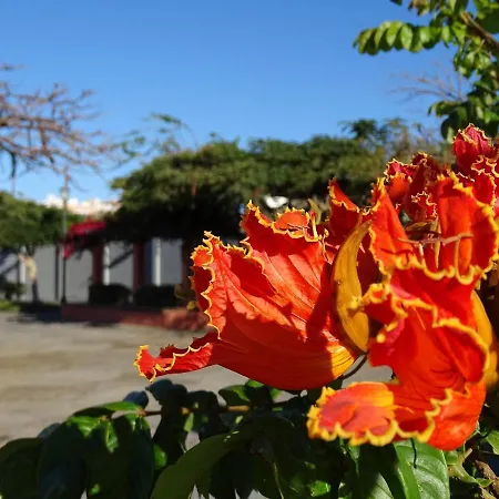 Casa Blanca , Nahe Am , Wifi Frei Guía de Isora